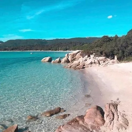 Tamaricciu Di Cala Rossa * Lecci