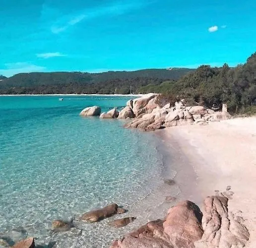 Tamaricciu Di Cala Rossa * Lecci